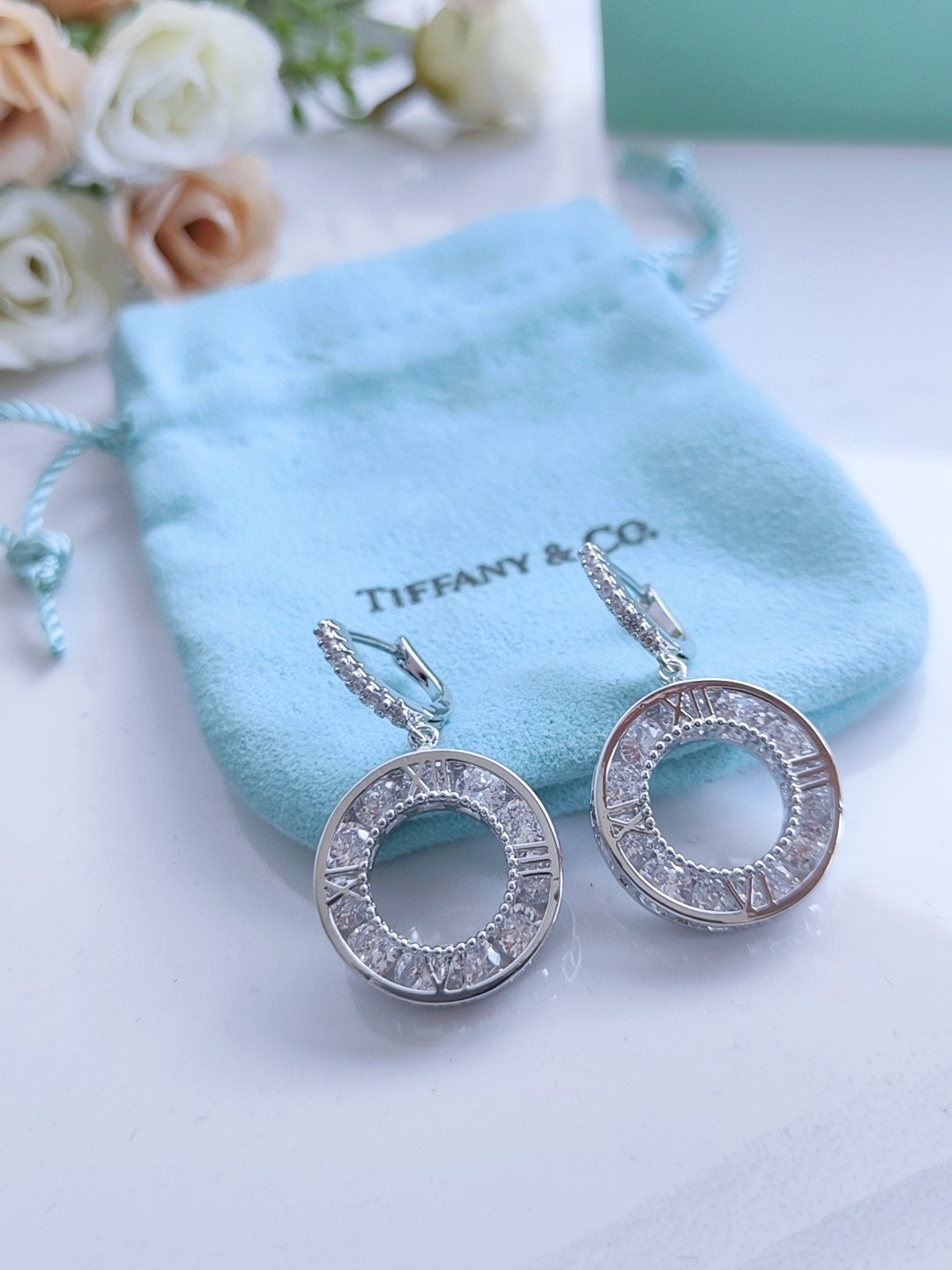 TOP Tiffany & Co. Diamond  Earrings - Sliver