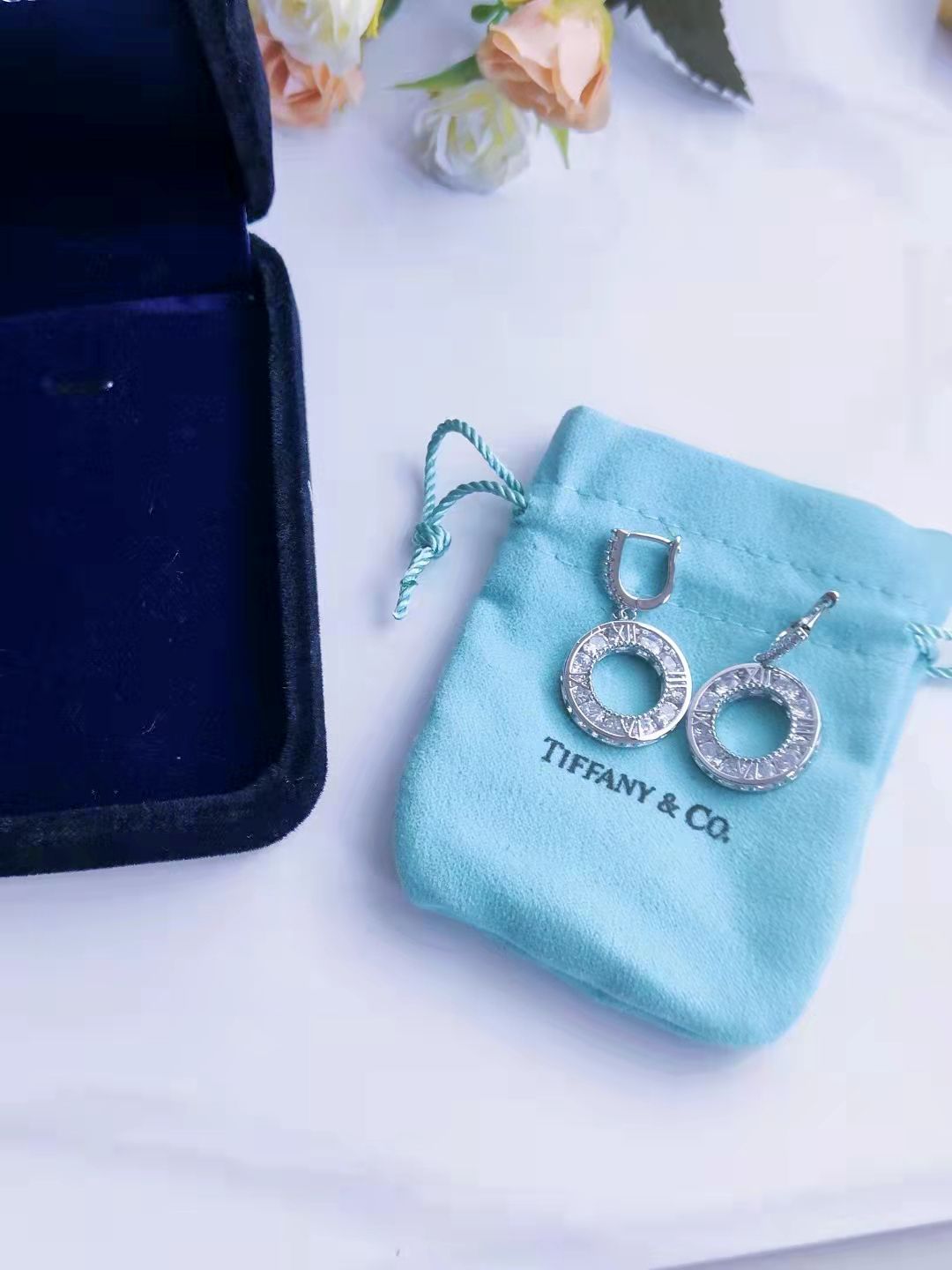 TOP Tiffany & Co. Diamond  Earrings - Sliver