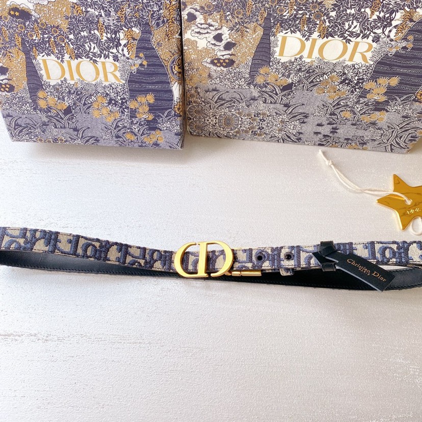 TOP Christian Dior Belt 2CM - Blue