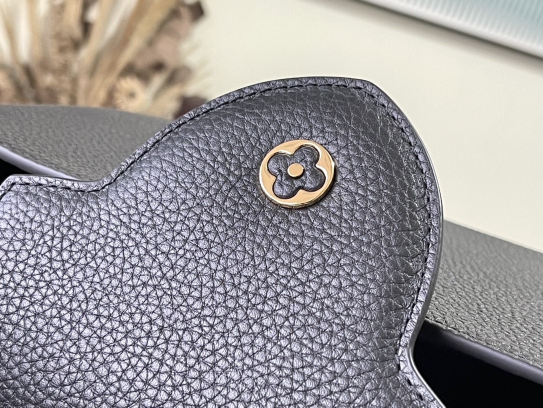 Louis Vuitton Z Capucines MM M21121