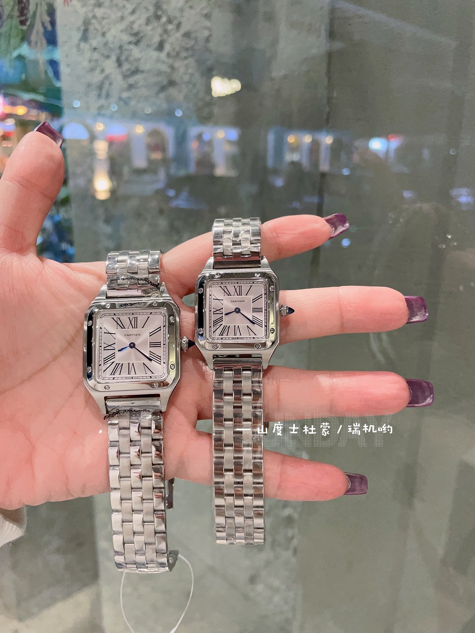 TOP Cartier Santos Dumont Watches