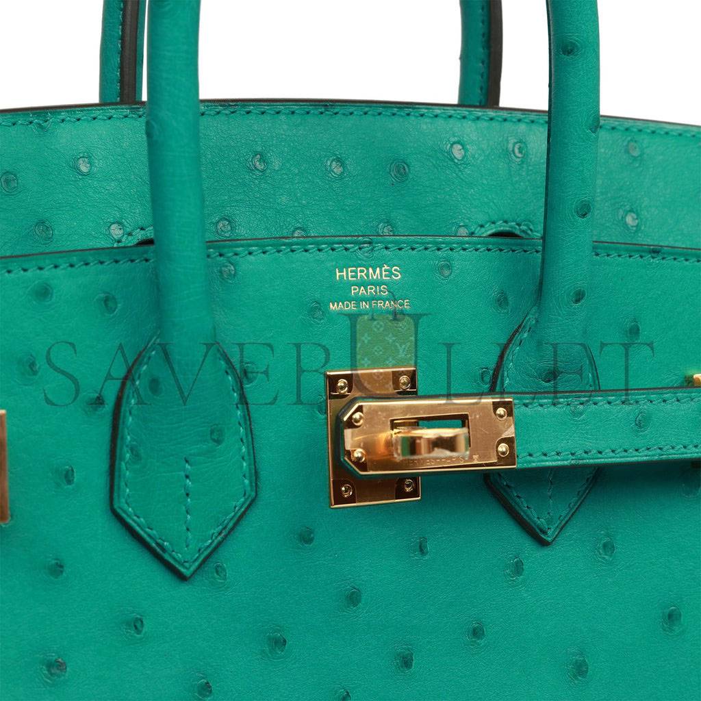 HERMES MASTER BIRKIN 25 GOLD HARDWARE (25*20*13cm)