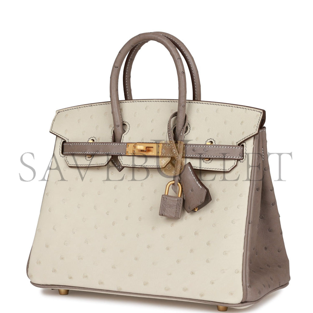 HERMES BIRKIN 25 OSTRICH BRUSHED GOLD HARDWARE (25*20*13cm)