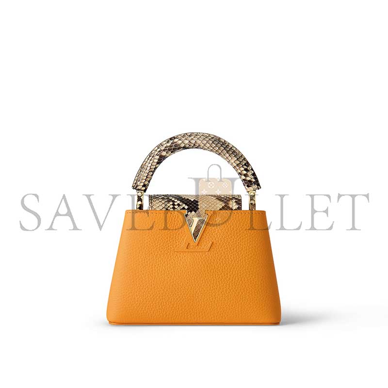 LOUIS VUITTON CAPUCINES MINI N81410 (21*14*6cm)