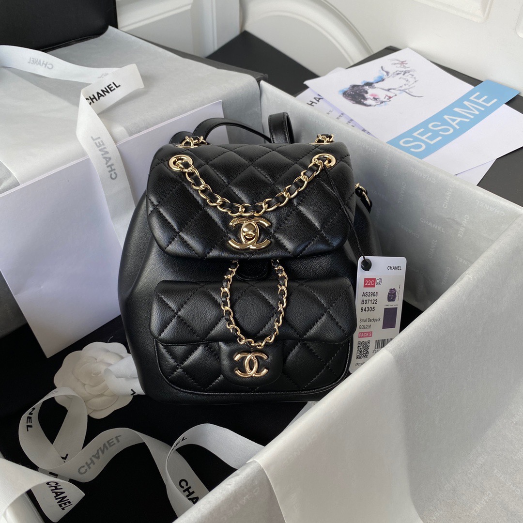 TOP CHANEL DUMA BackPack 18×18×12cm - Black/White & GHW
