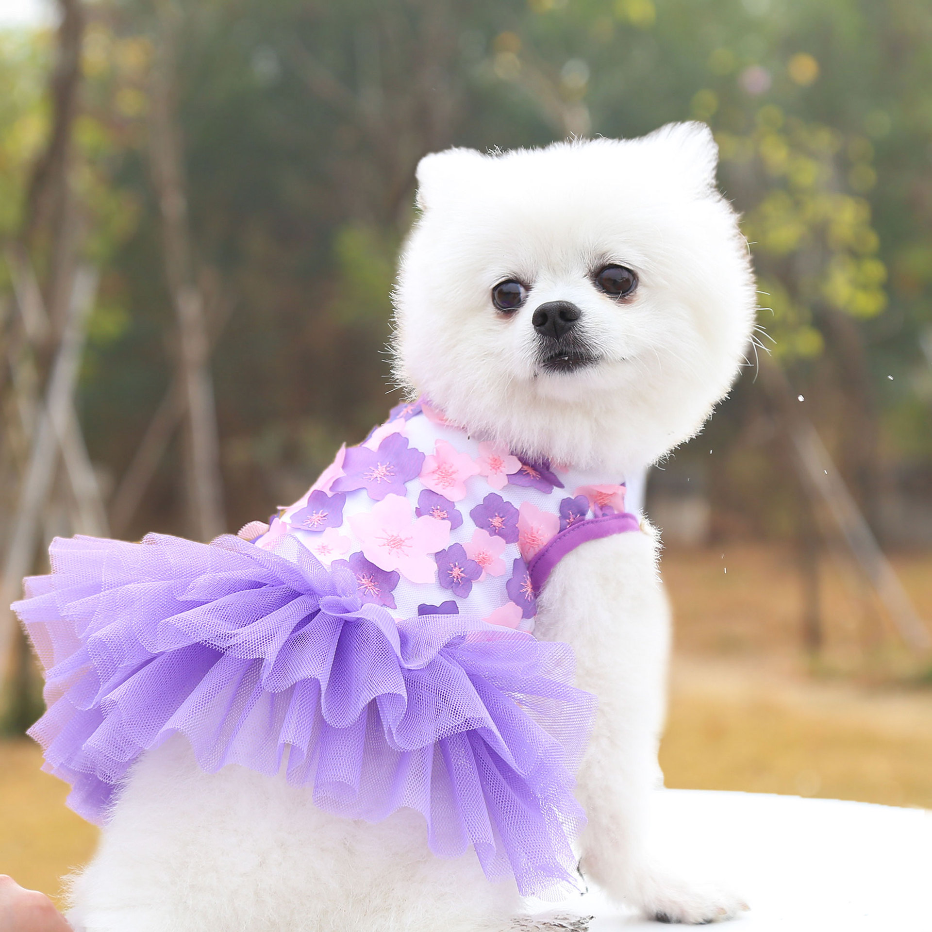 Pet Dog Cat Peach Blossom Dress Clothes Teddy Bichon Pet Supplies Dog Apparel Wholesale Pet Clothes - PawPro UK