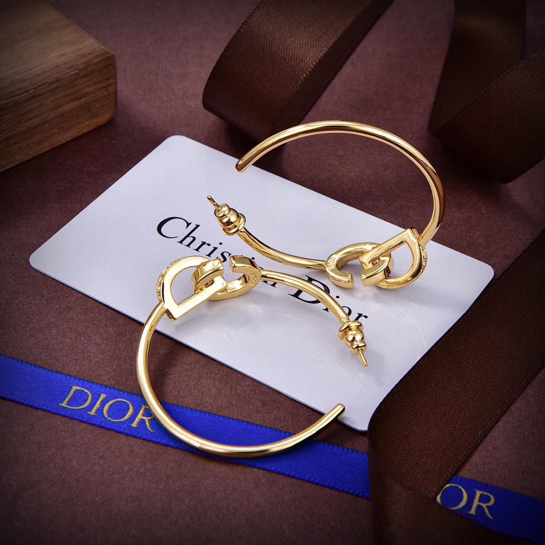 TOP Christian Dior Earring - Gold