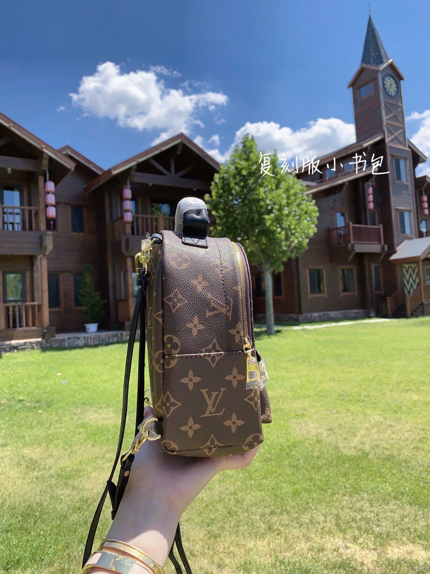 TOP Louis Vuitton LV £V Palm Springs Mini Monogram 17 x 22 x 10 cm-Brown