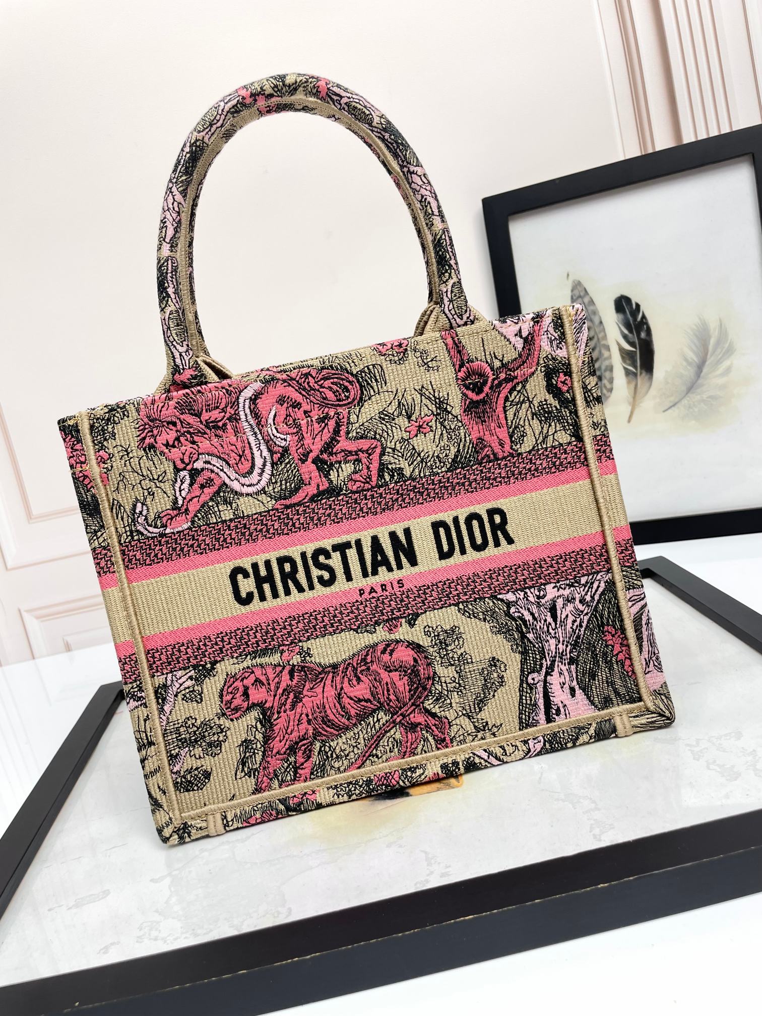 TOP Christian Dior Book Tote Bag 3 Sizes - Pink