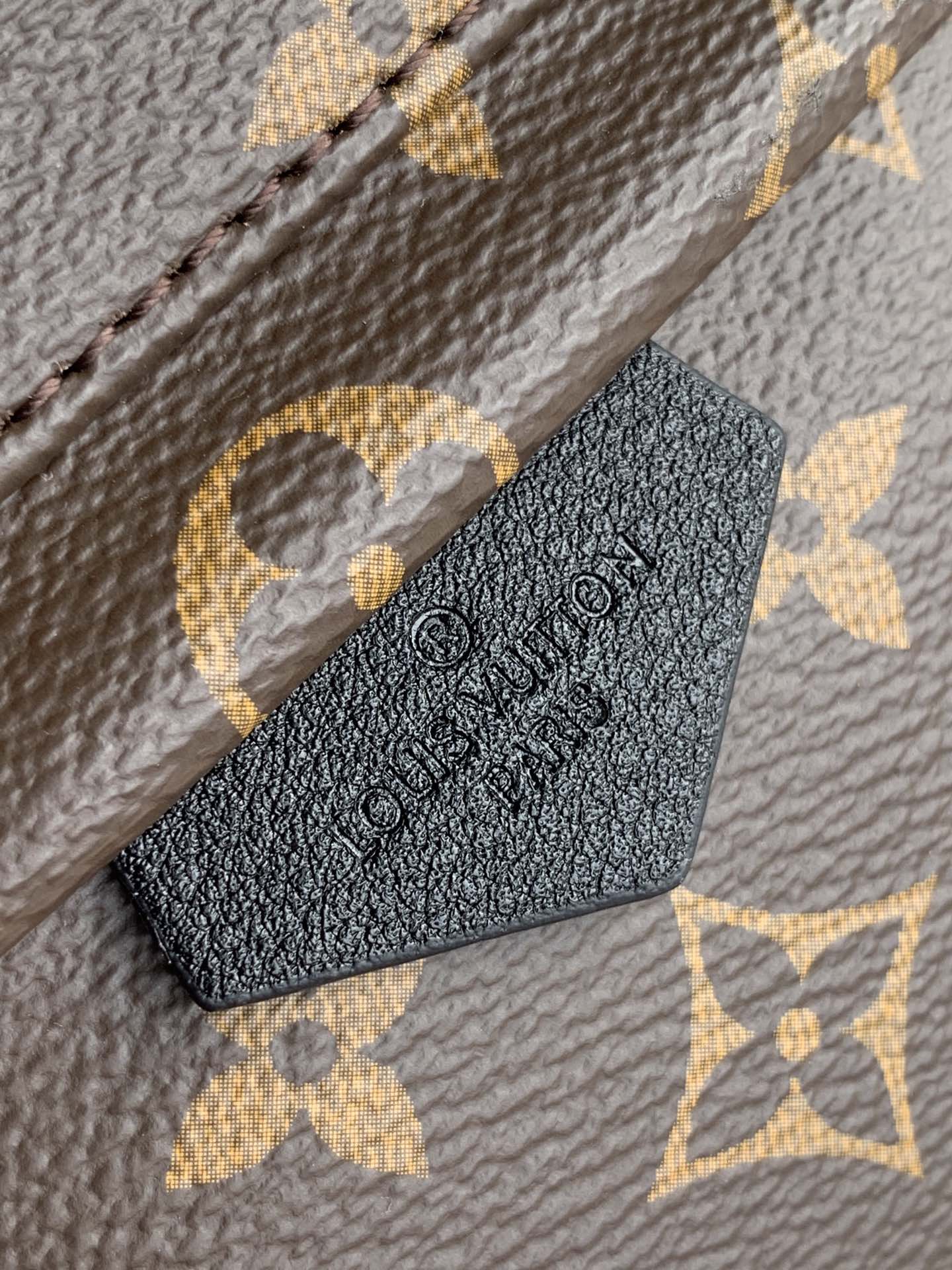 TOP Louis Vuitton LV Palm Sping Monogram Backpack 22 x 29 x 10cm- PM