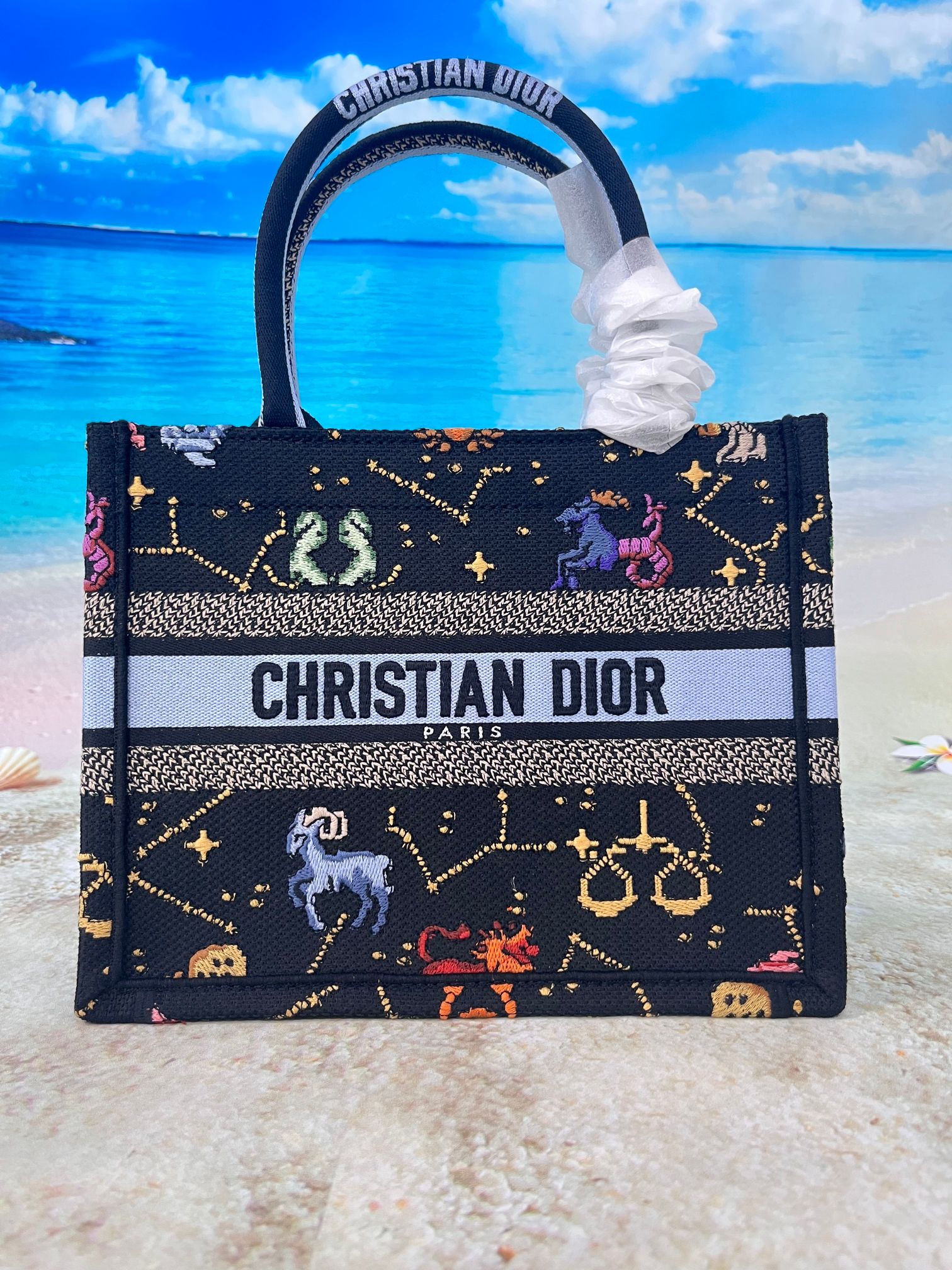 TOP Christian Dior Multi color Dior Pixel Zodiac Pattern Embroidery Book Tote Handbag 26.5X21X14 CM