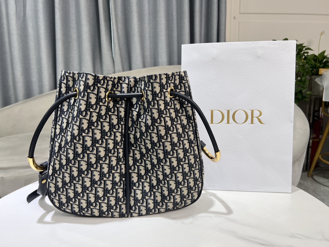 TOP Christian Dior Nolita Bag 2 Sizes - Oblique