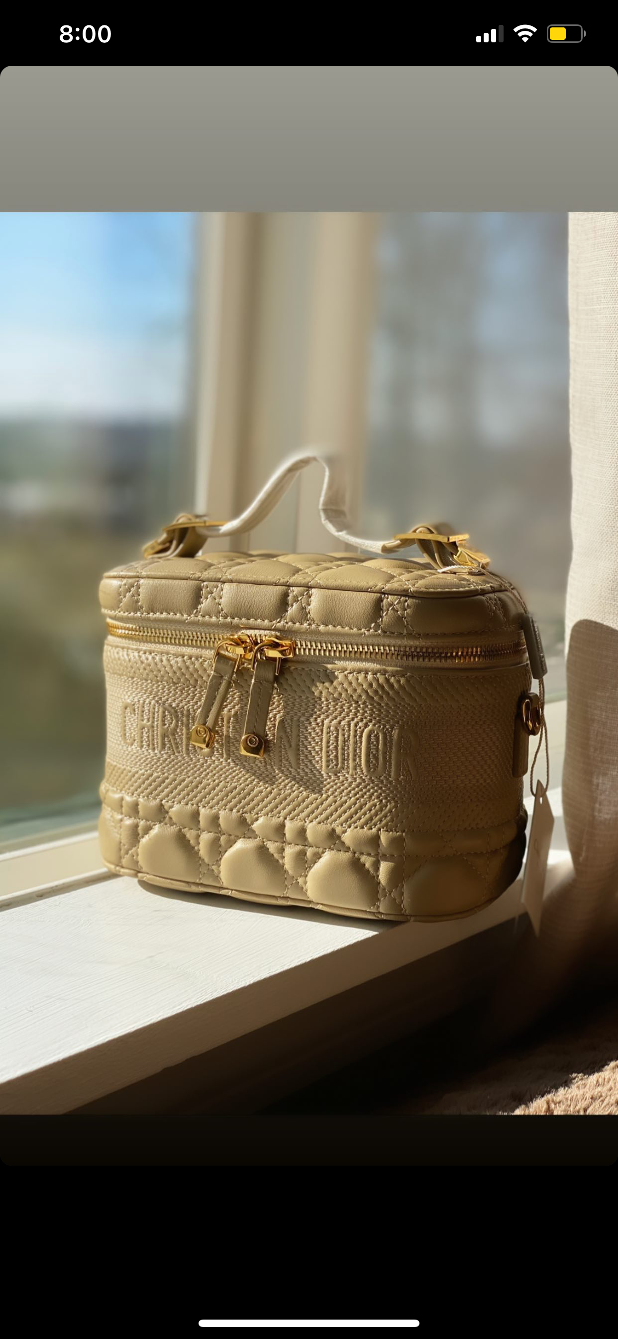 TOP Christian Dior Cannage Vanity Case - Beige