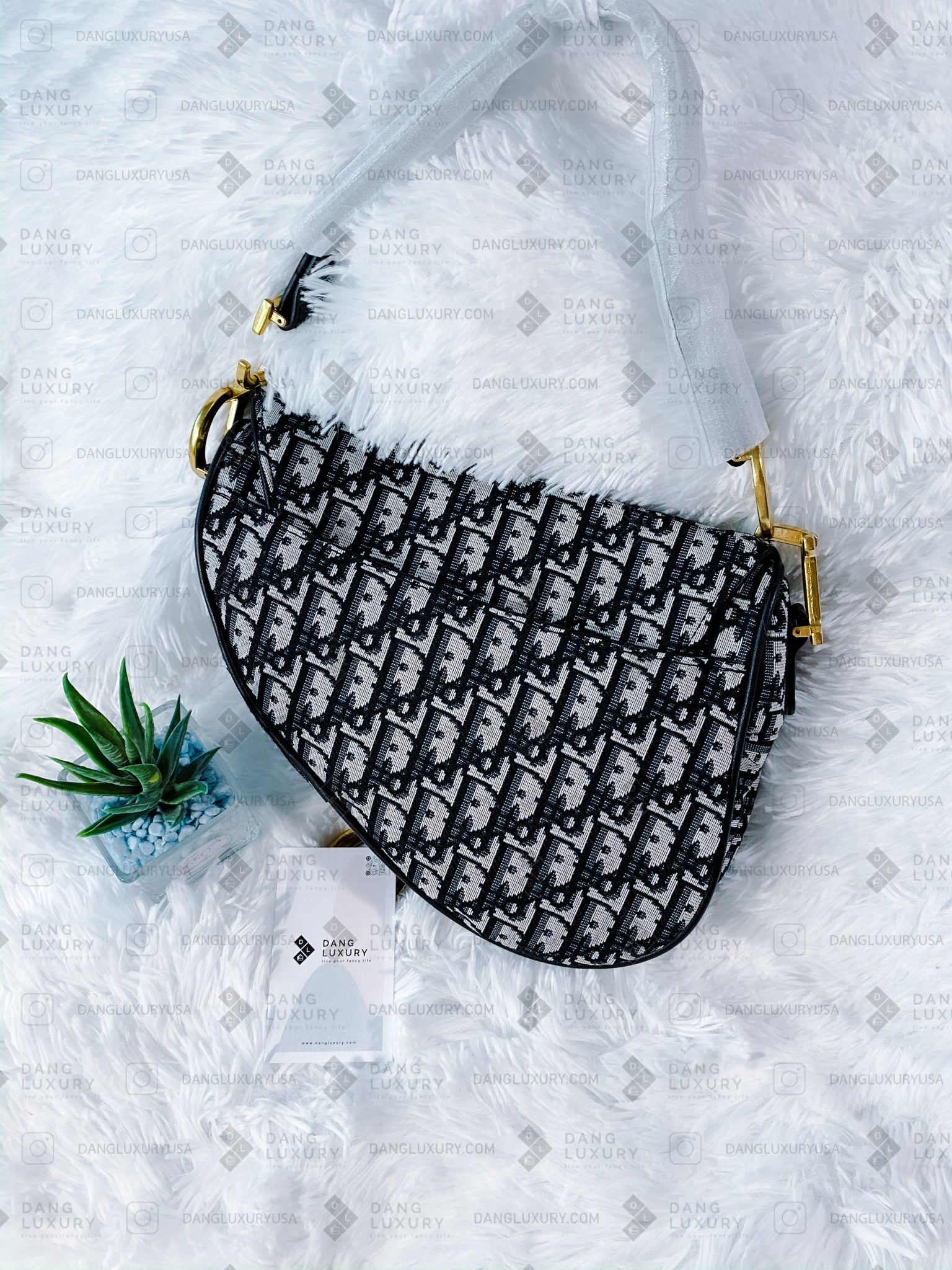 TOP Christian Dior Saddle Bag Oblique