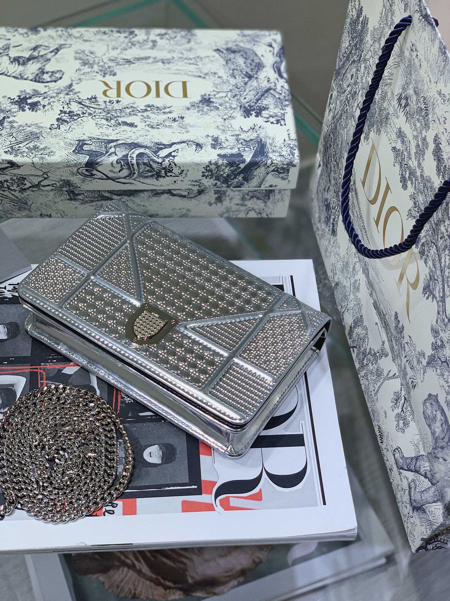TOP Christian Dior D'Rama WOC - Silver