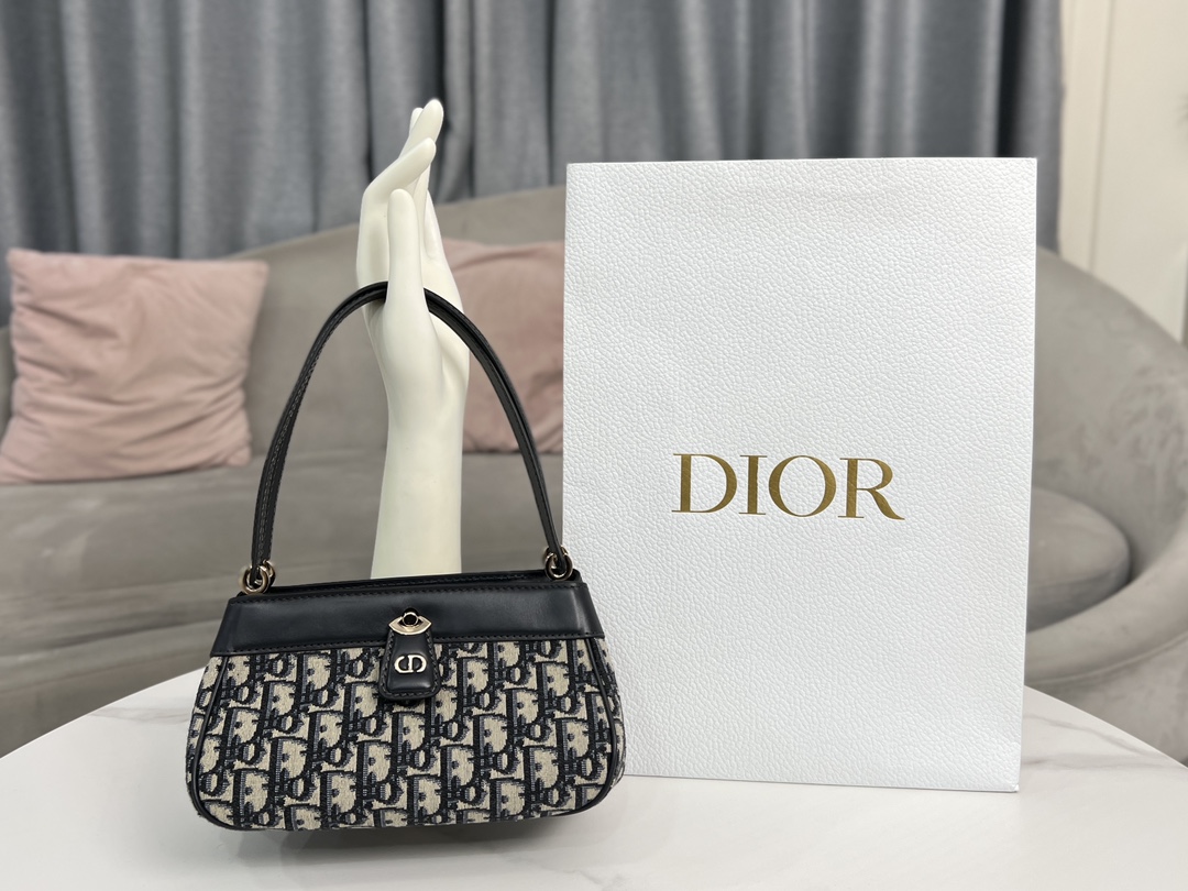 TOP Christian Dior Key Oblique Bag 22 x 12.5 x 12cm/28*13*15cm - 7 Color