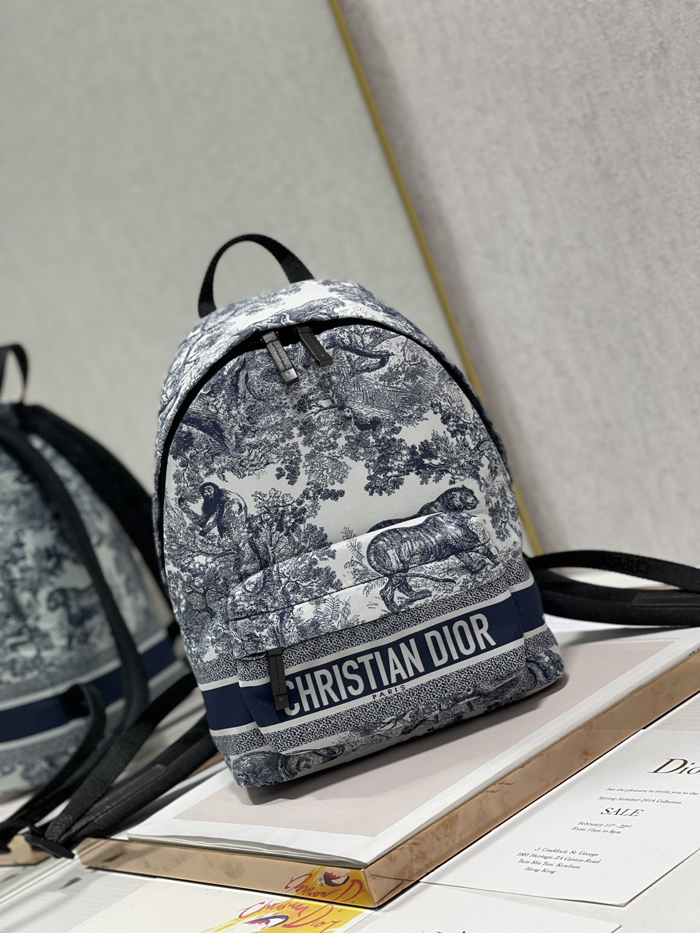 TOP Christian Dior Nylon Technical Fabric Toile De Jouy Small Diortravel Backpack 20×12×28cm-Blue