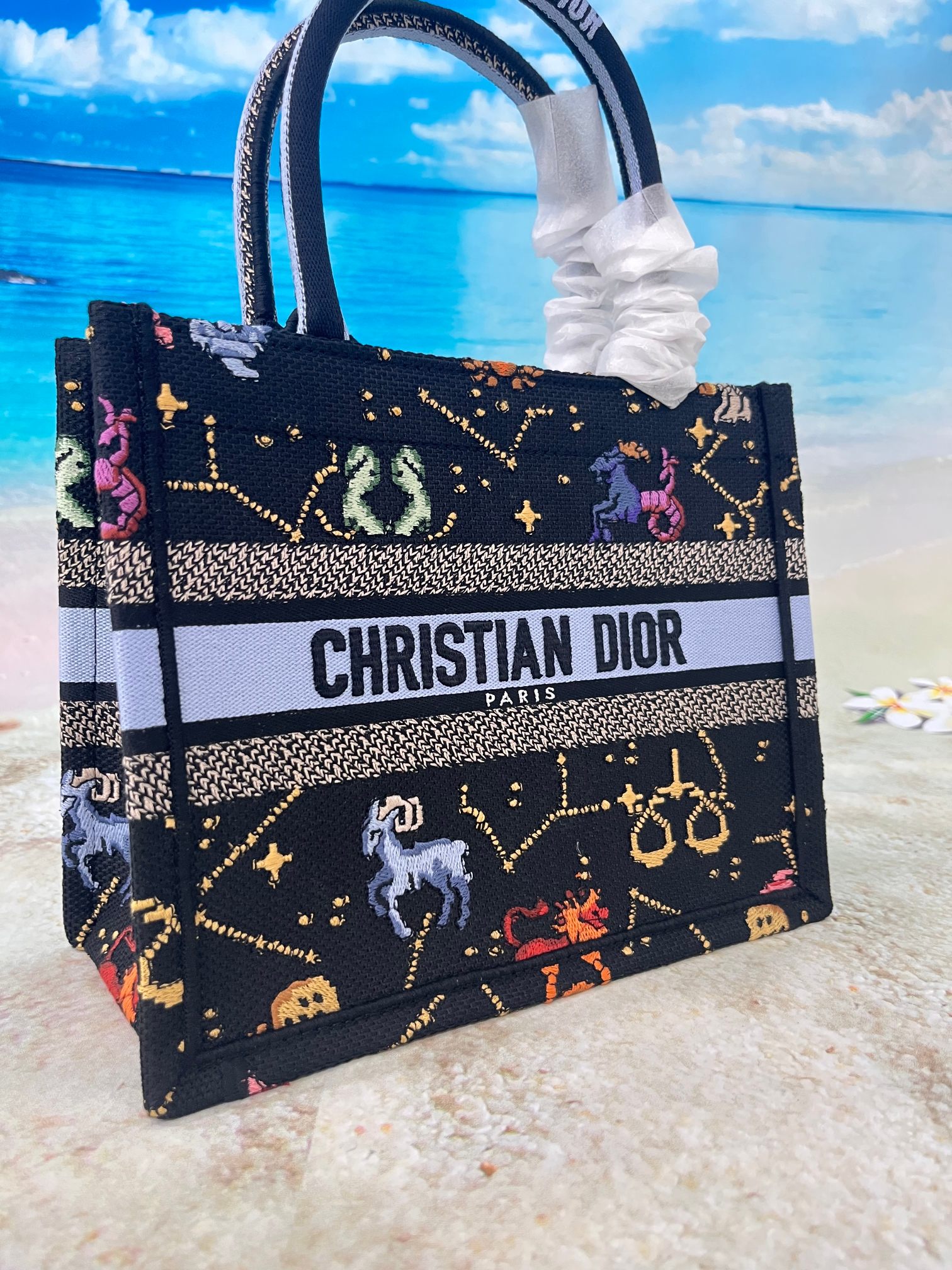 TOP Christian Dior Multi color Dior Pixel Zodiac Pattern Embroidery Book Tote Handbag 26.5X21X14 CM