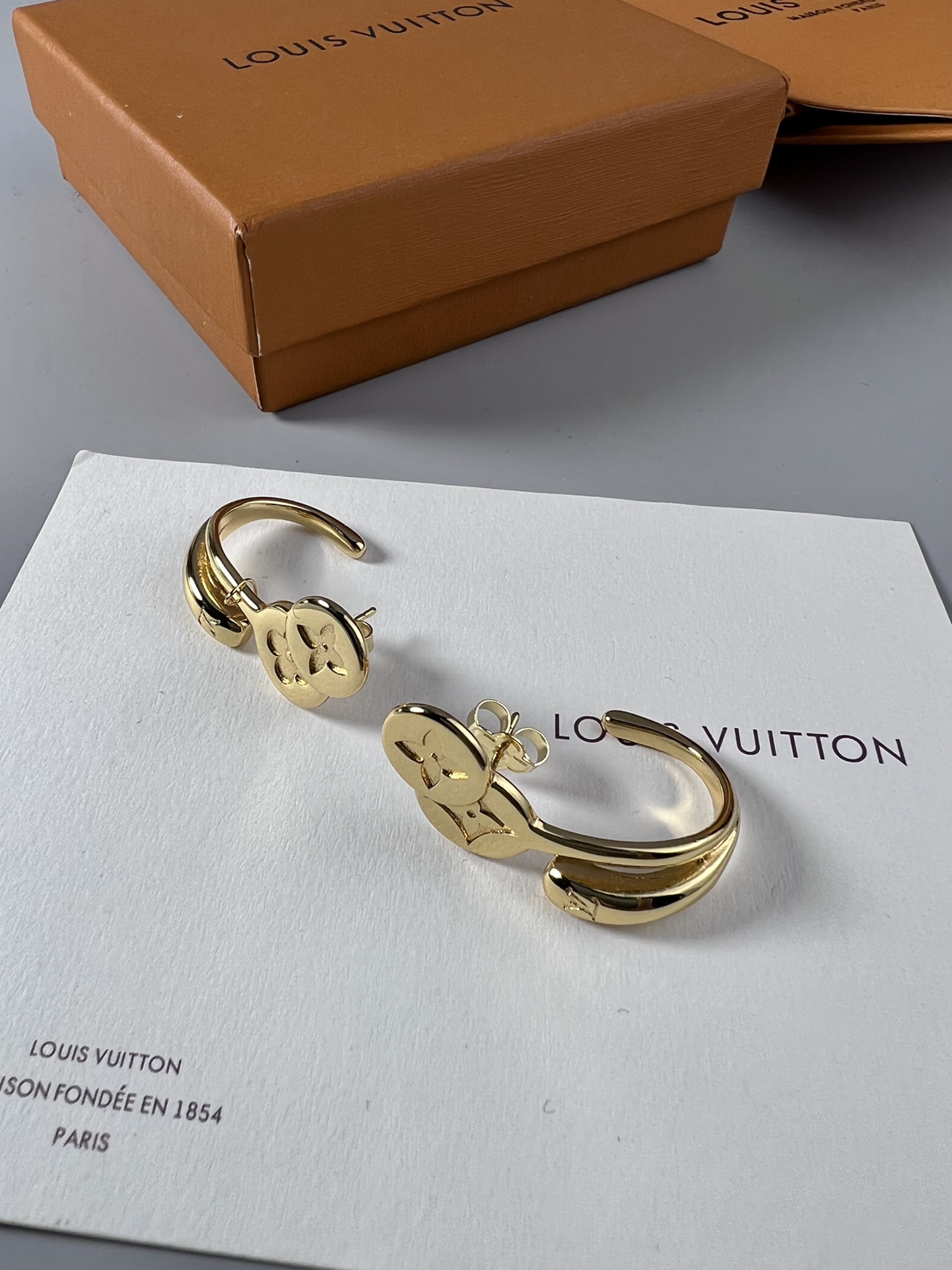 TOP Louis Vuitton LV Earrings - 2 Color