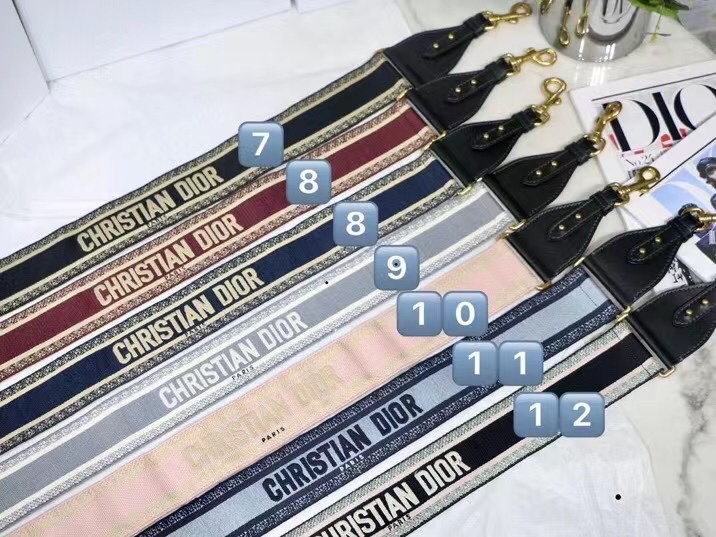 TOP Christian Dior Shoulder Strap Collection