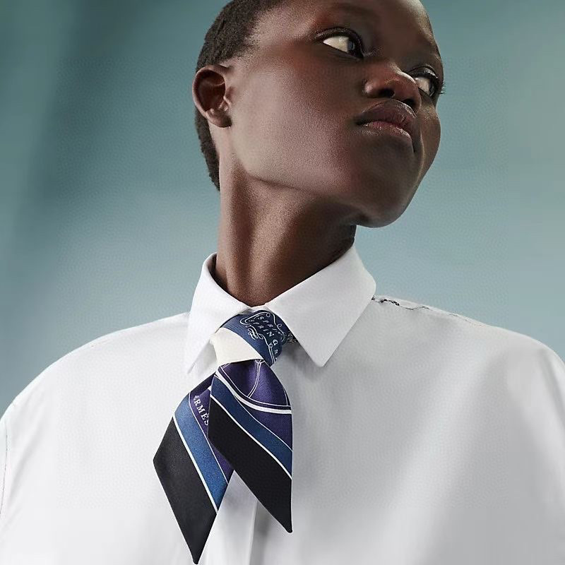 TOP HERMES Twilly Springs Springs Twilly 86 x 5 cm - Four Colours