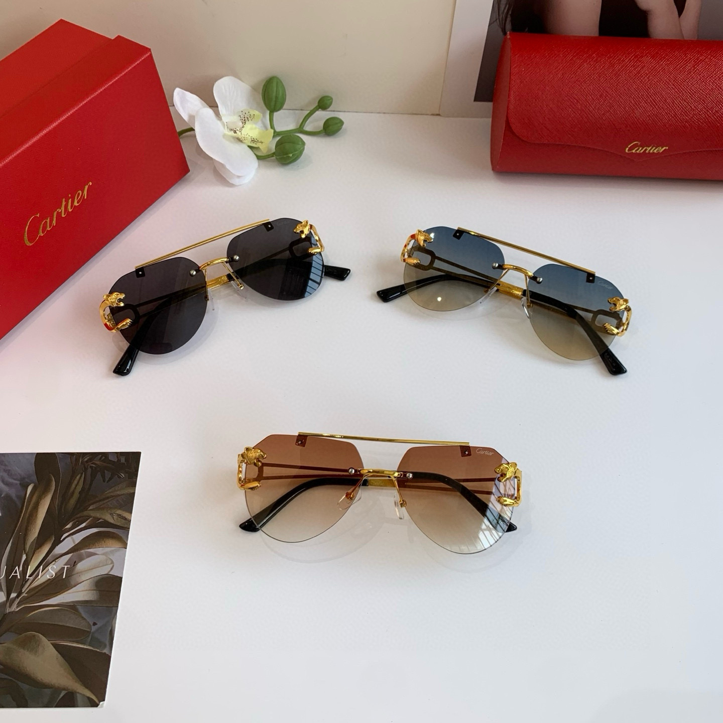 TOP Cartier Sunglasses - 3 Color