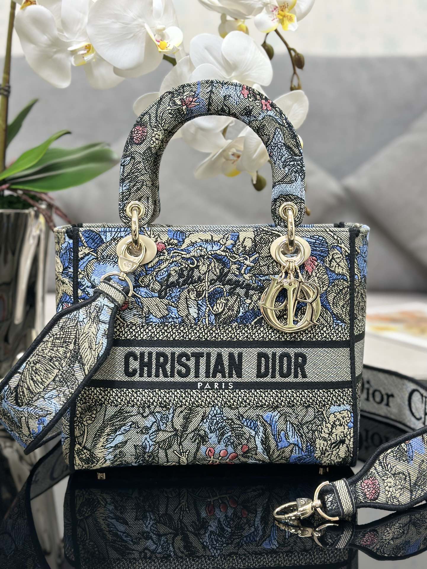 TOP Christian Dior Five Grid Embroidered Magic Garden Handbag 24x20x11CM - GHW