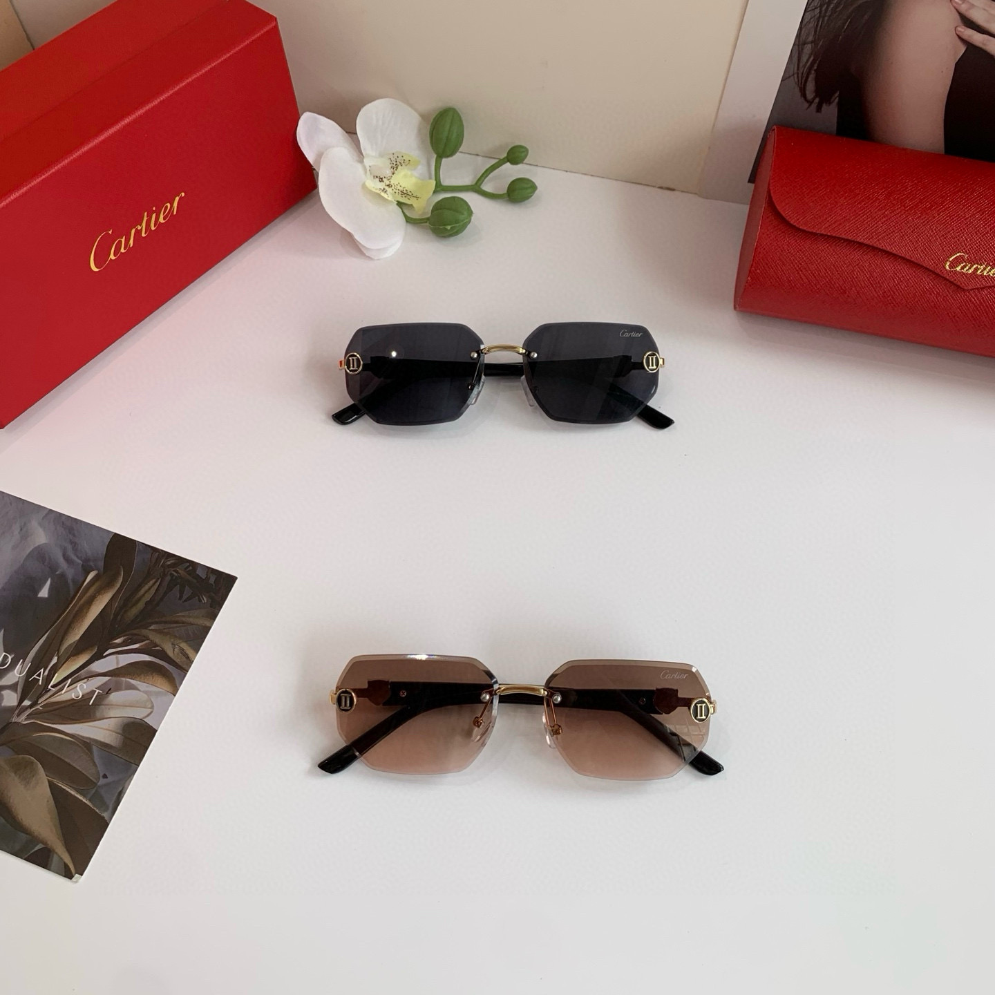 TOP CARTIER Sunglasses - 2 Colors
