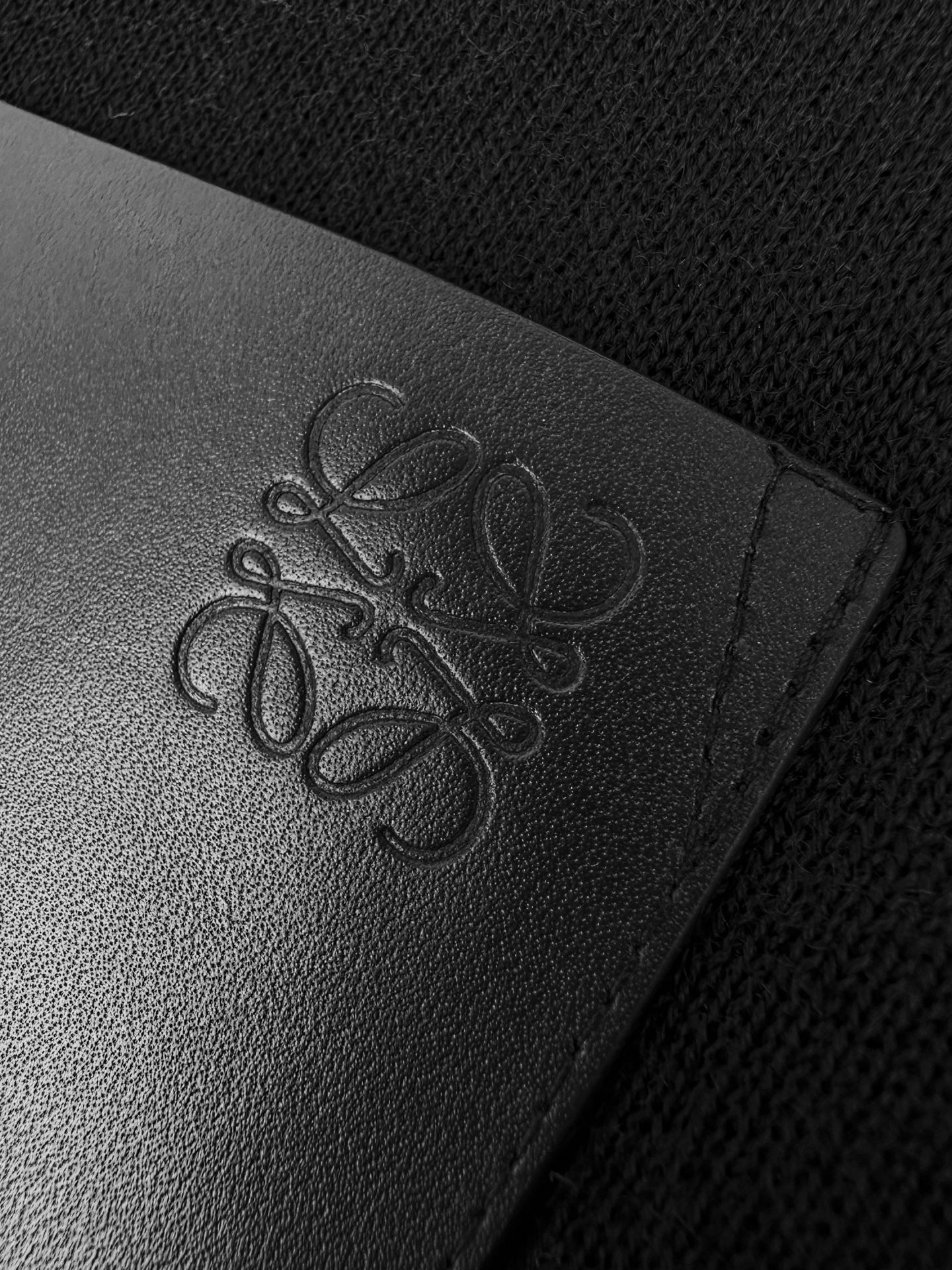 Loewe 皮革拉链毛衣外套