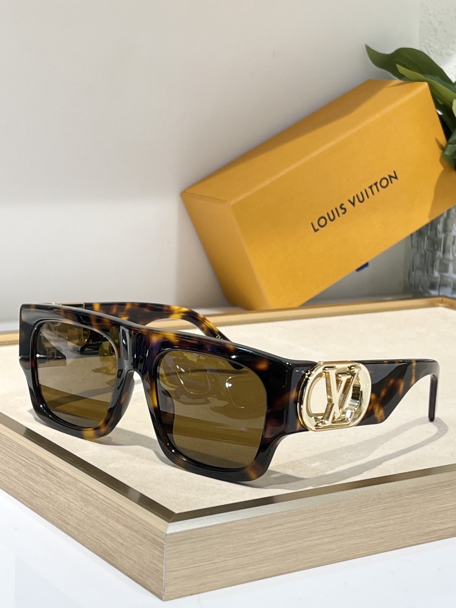TOP Louis Vuitton LV Sunglasses - 5 Color