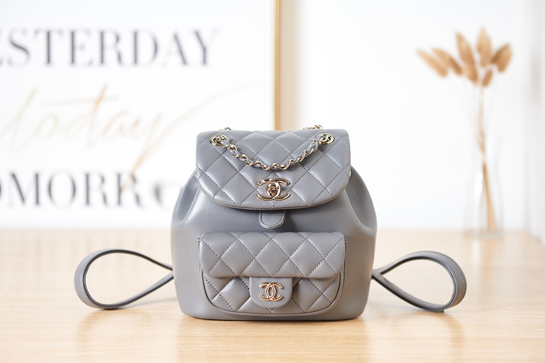 TOP CHANEL DUMA BackPack 18×18×12cm - Gray & GHW