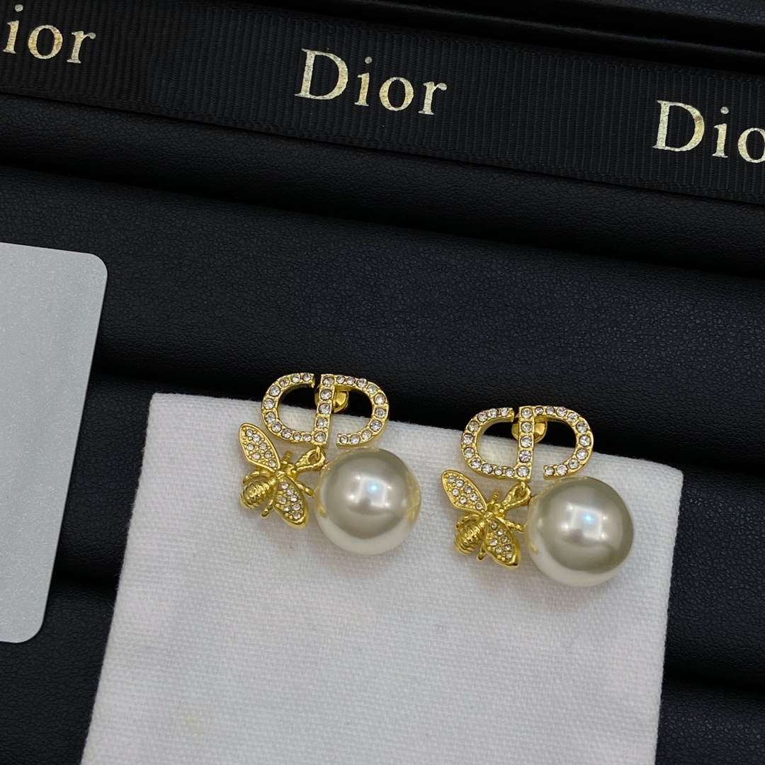 TOP Christian Dior Earrings - 2 Colour