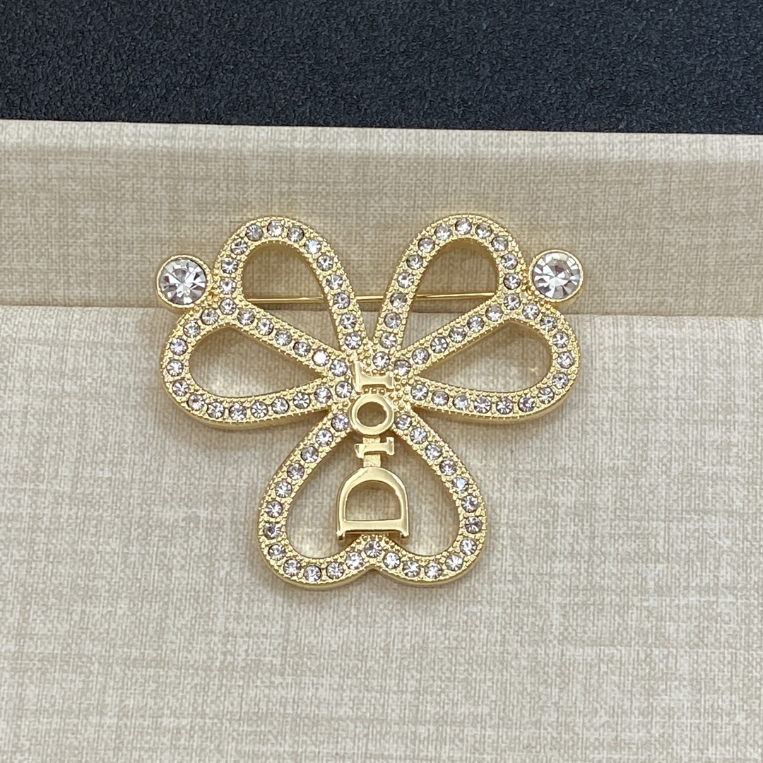 TOP Christian Dior  Brooch - 2 Color