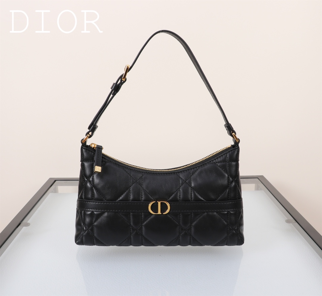 TOP Christian Dior Miss Caro Bag 23×13×6cm -2 Colors