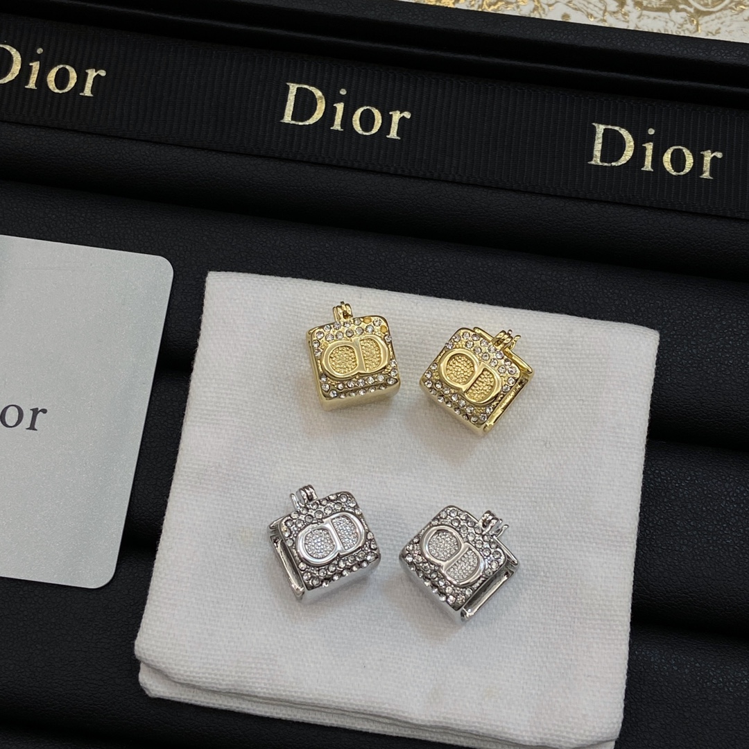 TOP Christian Dior Earring - 2 Colors