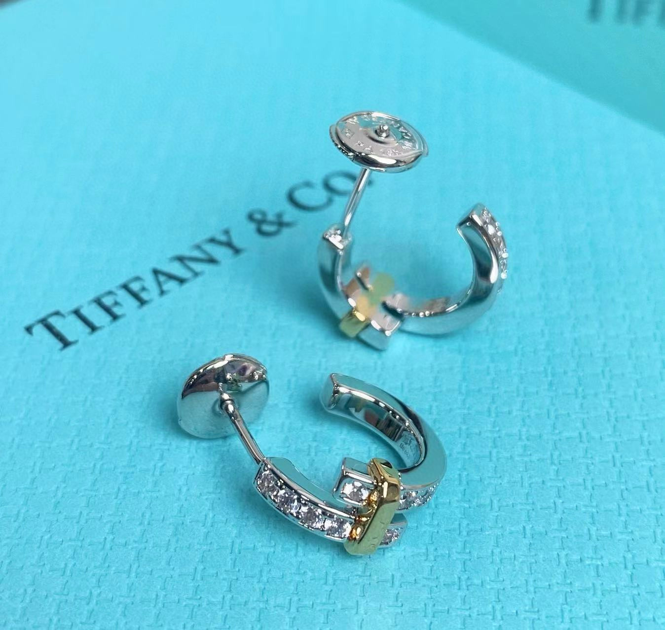 TOP Tiffany & Co. Diamond  Earrings -Sliver