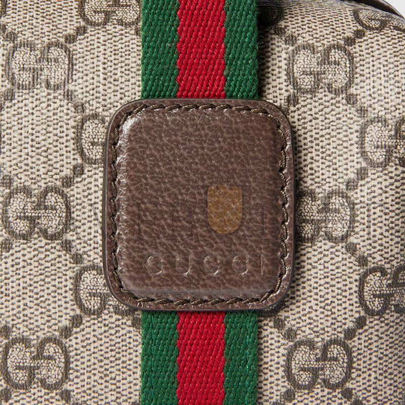 GUCCI MINI GG HANDBAG 859975 (20*13*13cm)