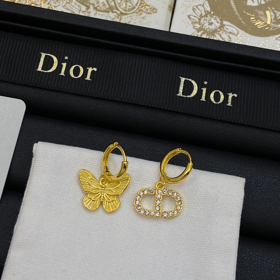 TOP Christian Dior Earrings - 2 Colour