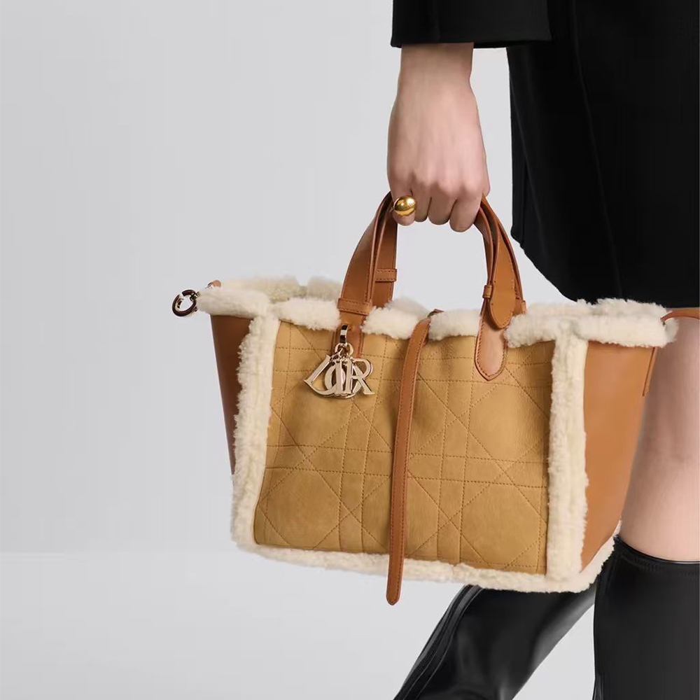 Dior Toujours Bag（10A Mirror Version）