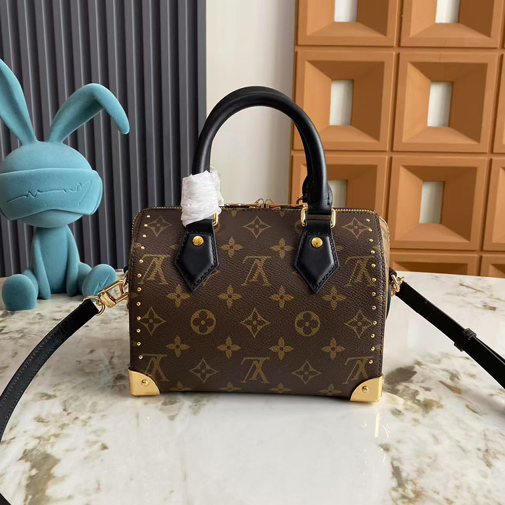 Louis Vuitton Speedy Trunk 20 Bag  (Replica)