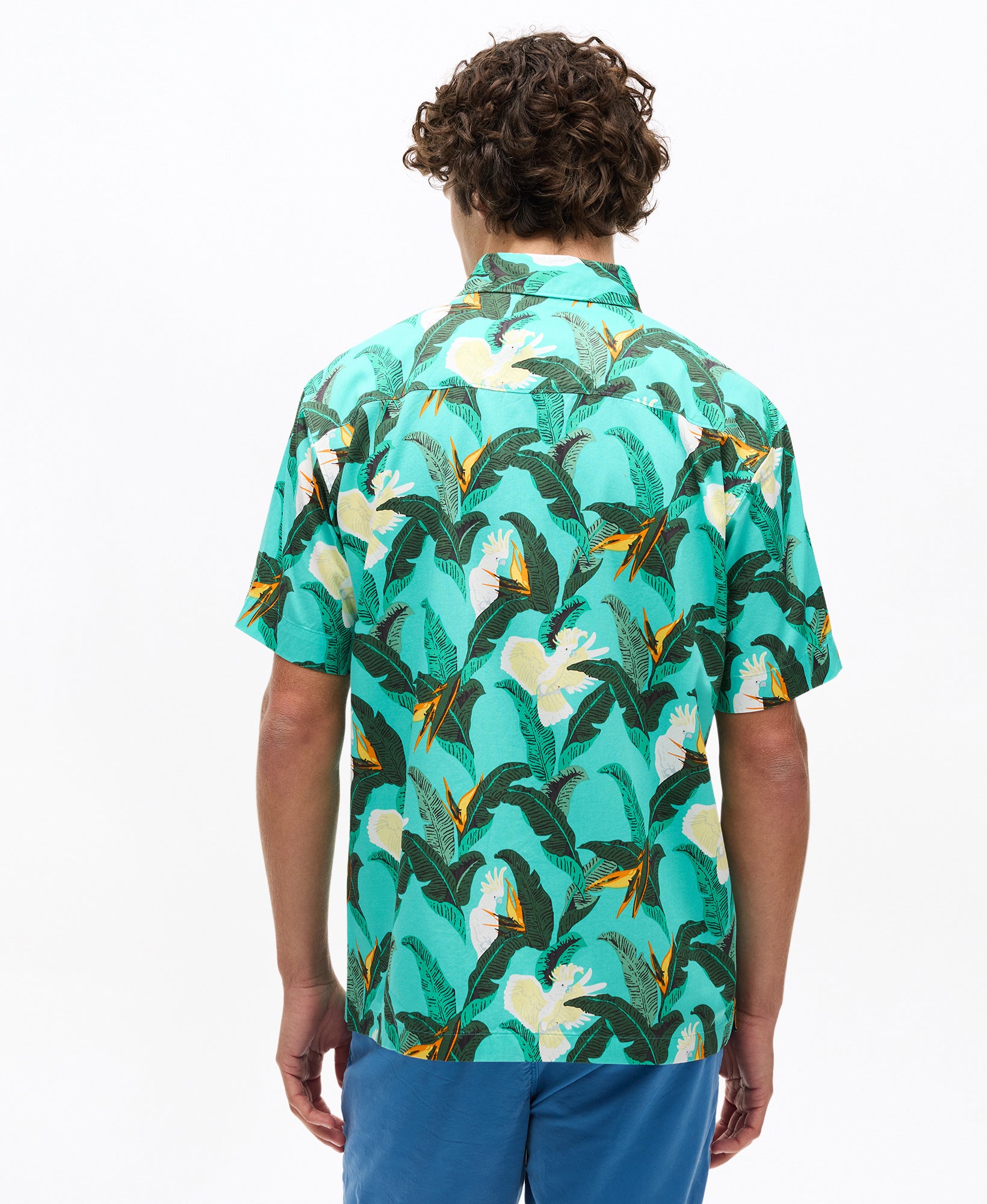 Hawaiian Shirt | Paradise Bird Aqua