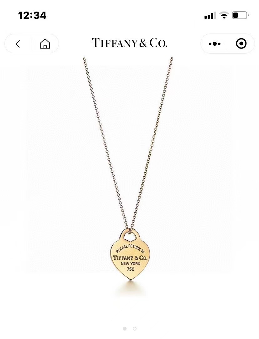 TOP Tiffany & Co. Necklace-3 Colors