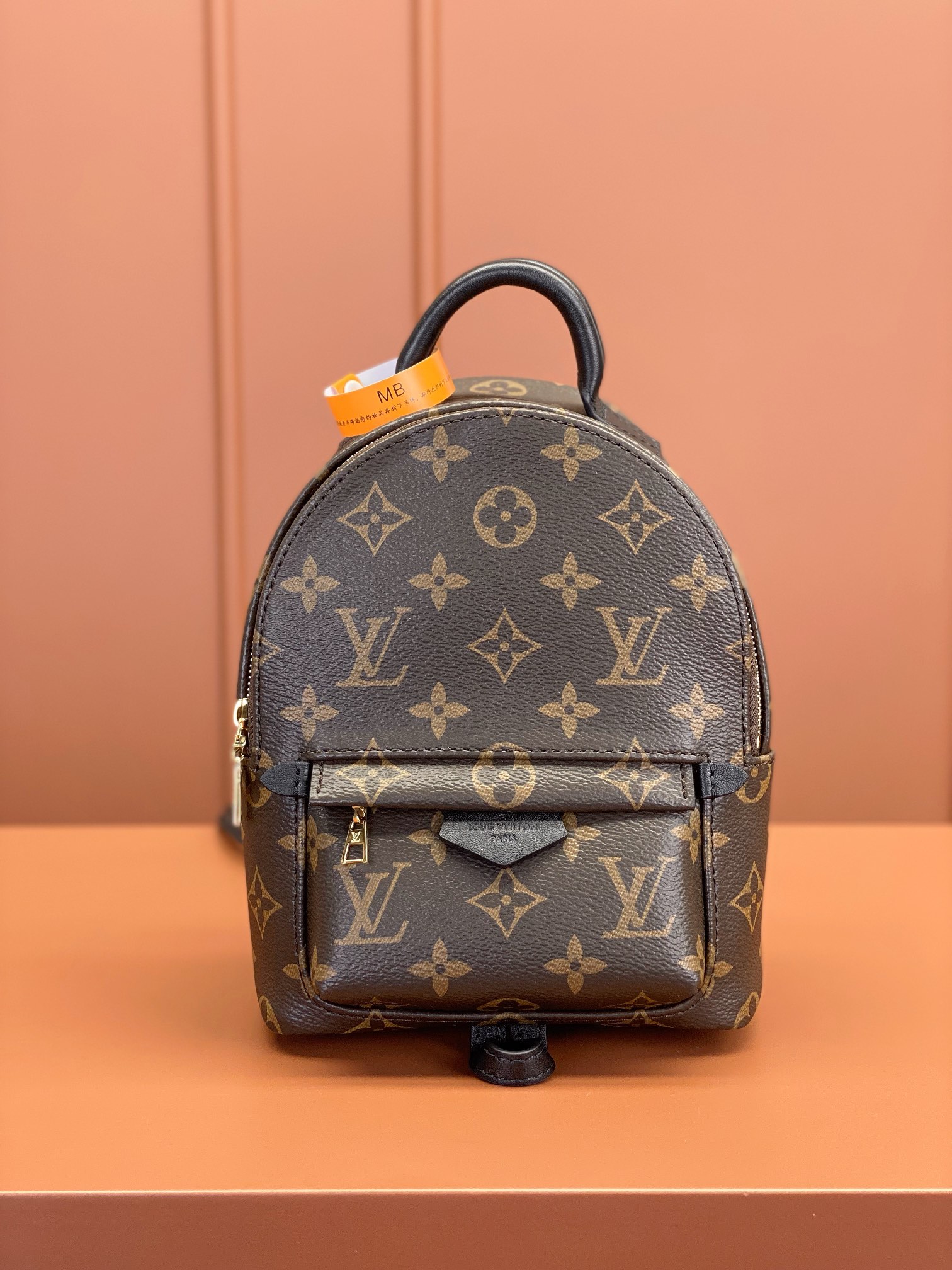 TOP Louis Vuitton LV £V Monogram Palm Springs Backpack - 3 Size