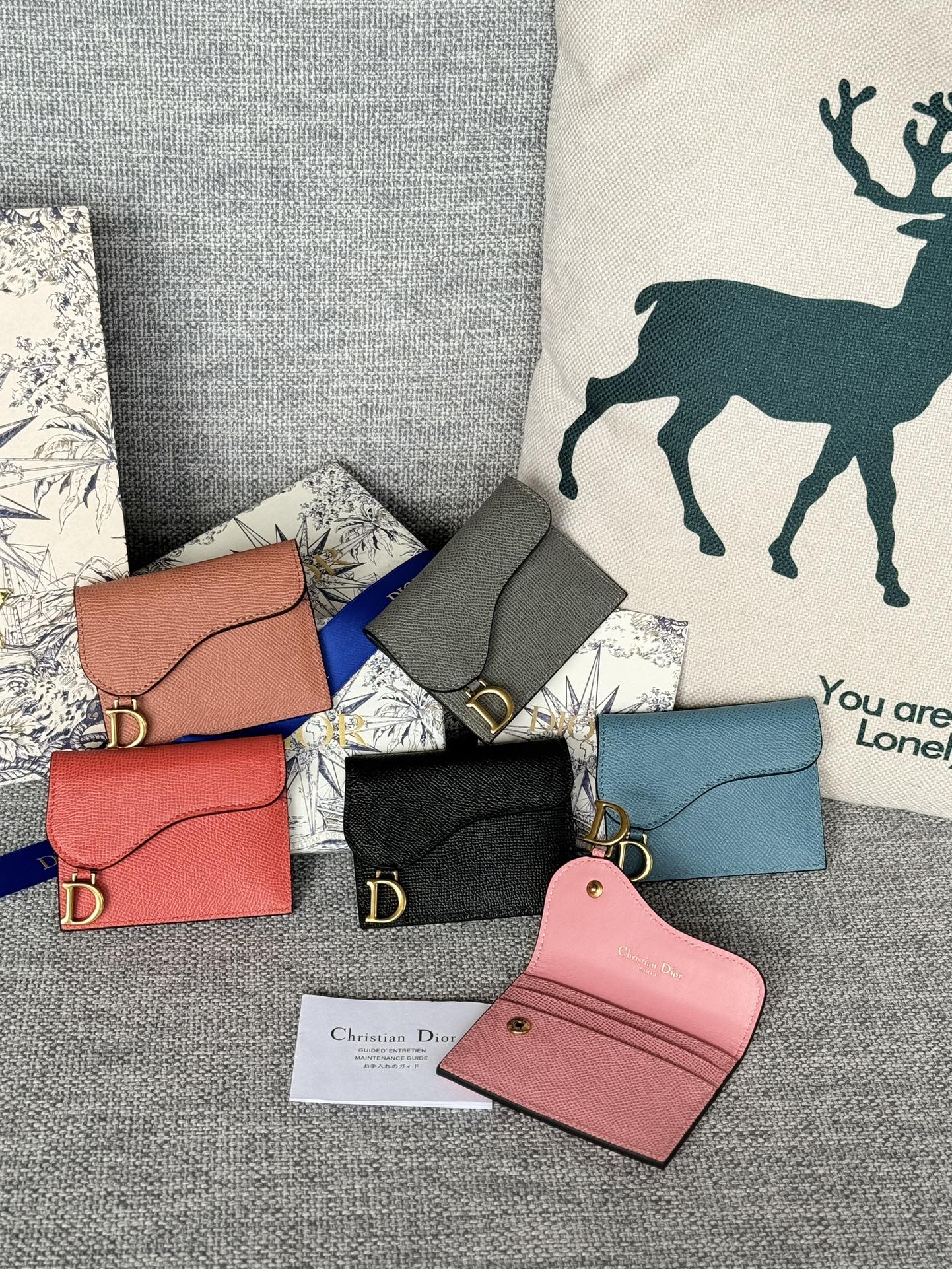 TOP Christian Dior Calfskin Saddle Lychee Patterned Card Bags - 6 Colors