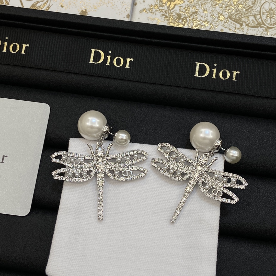 TOP Christian Dior Earrings-2 Colors