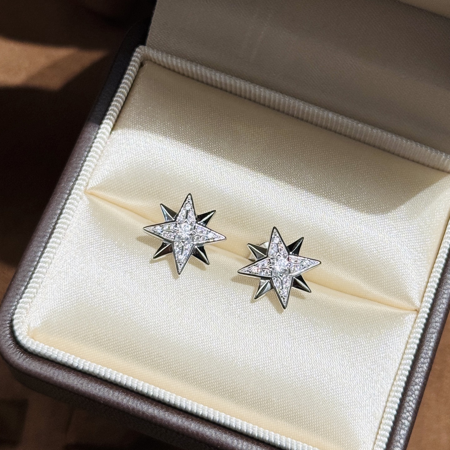 TOP Christian Dior Earrings -Sliver