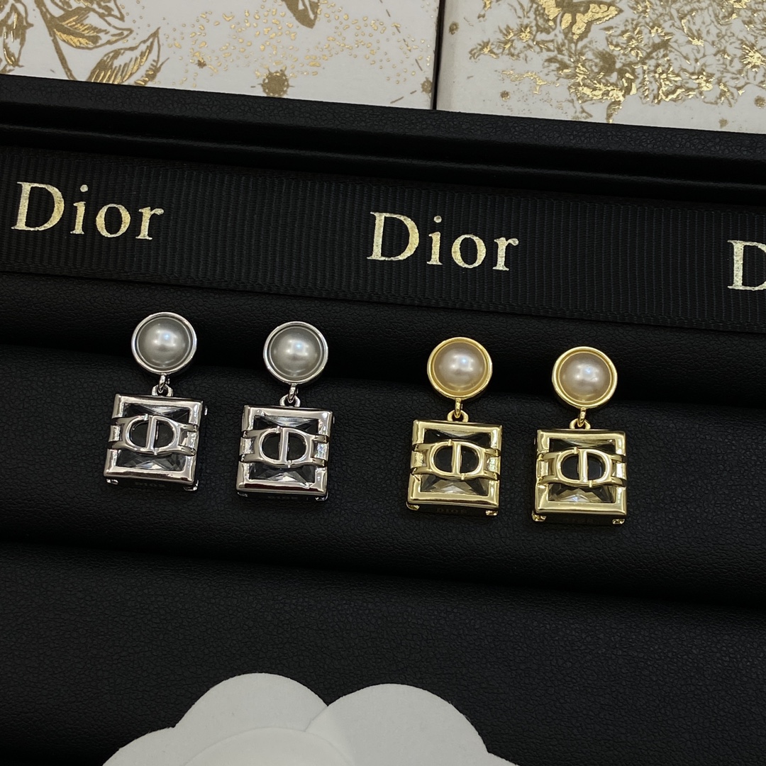 TOP Christian Dior Earrings-2 Colors