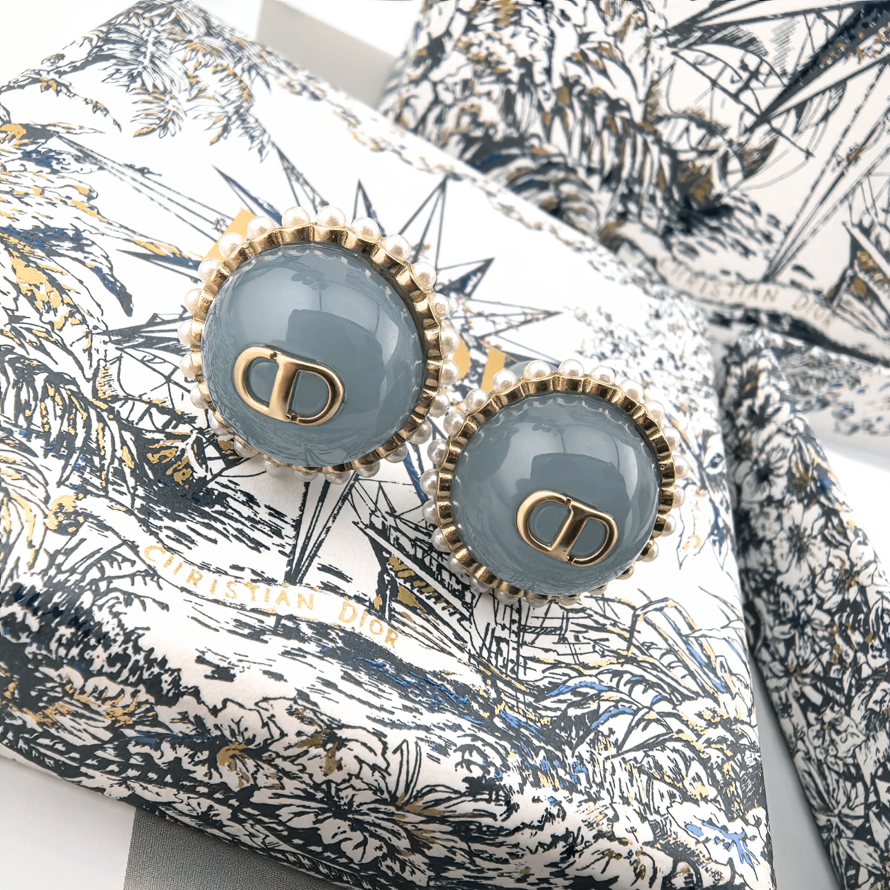 TOP Christian Dior Earring - Grey