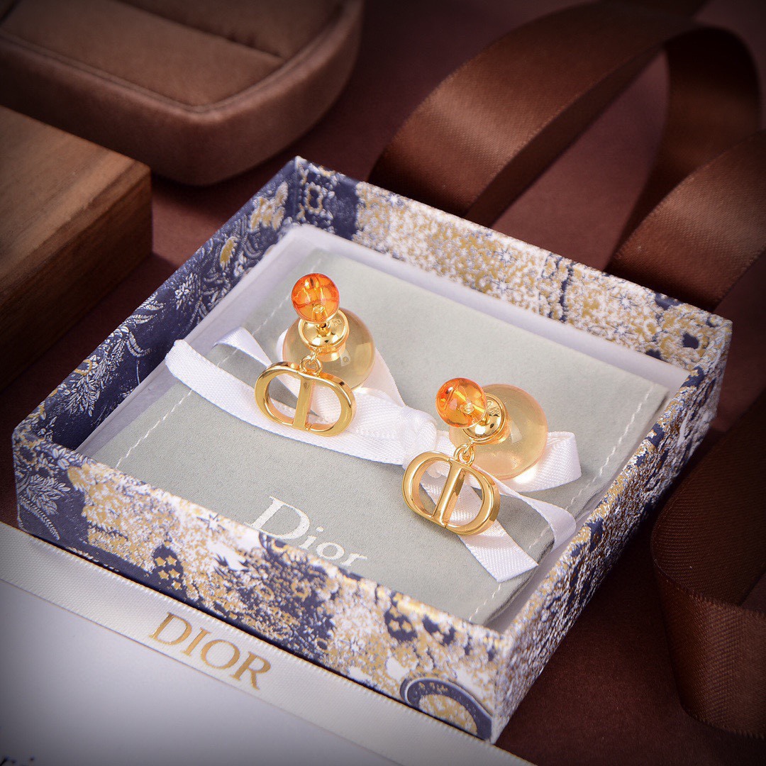 TOP Christian Dior Earrings-2 Colors