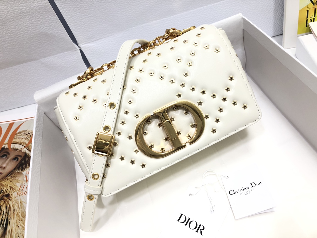 TOP Christian Dior Caro Bag 20 x 12 x 7 cm - Pentagram White